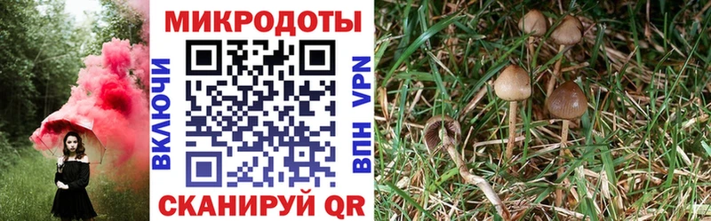 Псилоцибиновые грибы мухоморы  купить  сайты  Рыбное 
